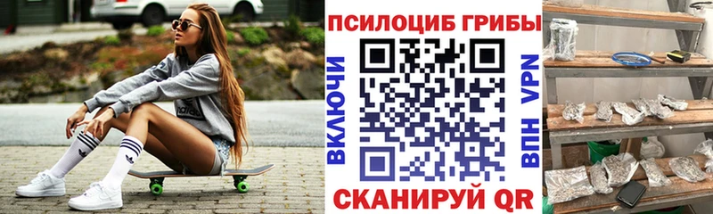 закладка  Иноземцево  Галлюциногенные грибы Cubensis 